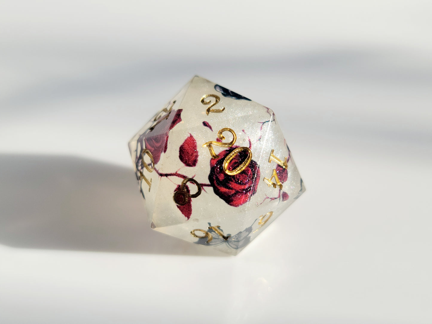 Into the Mist ( D20 )