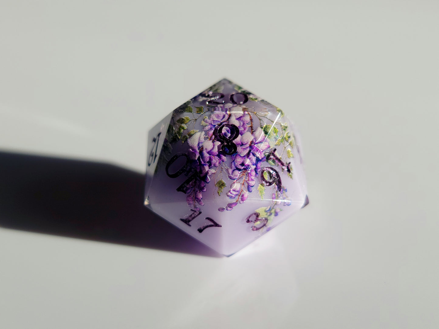 Wisteria ( D20 )