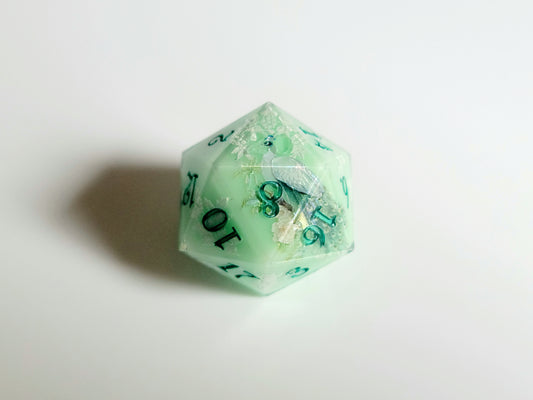Hera ( D20 )