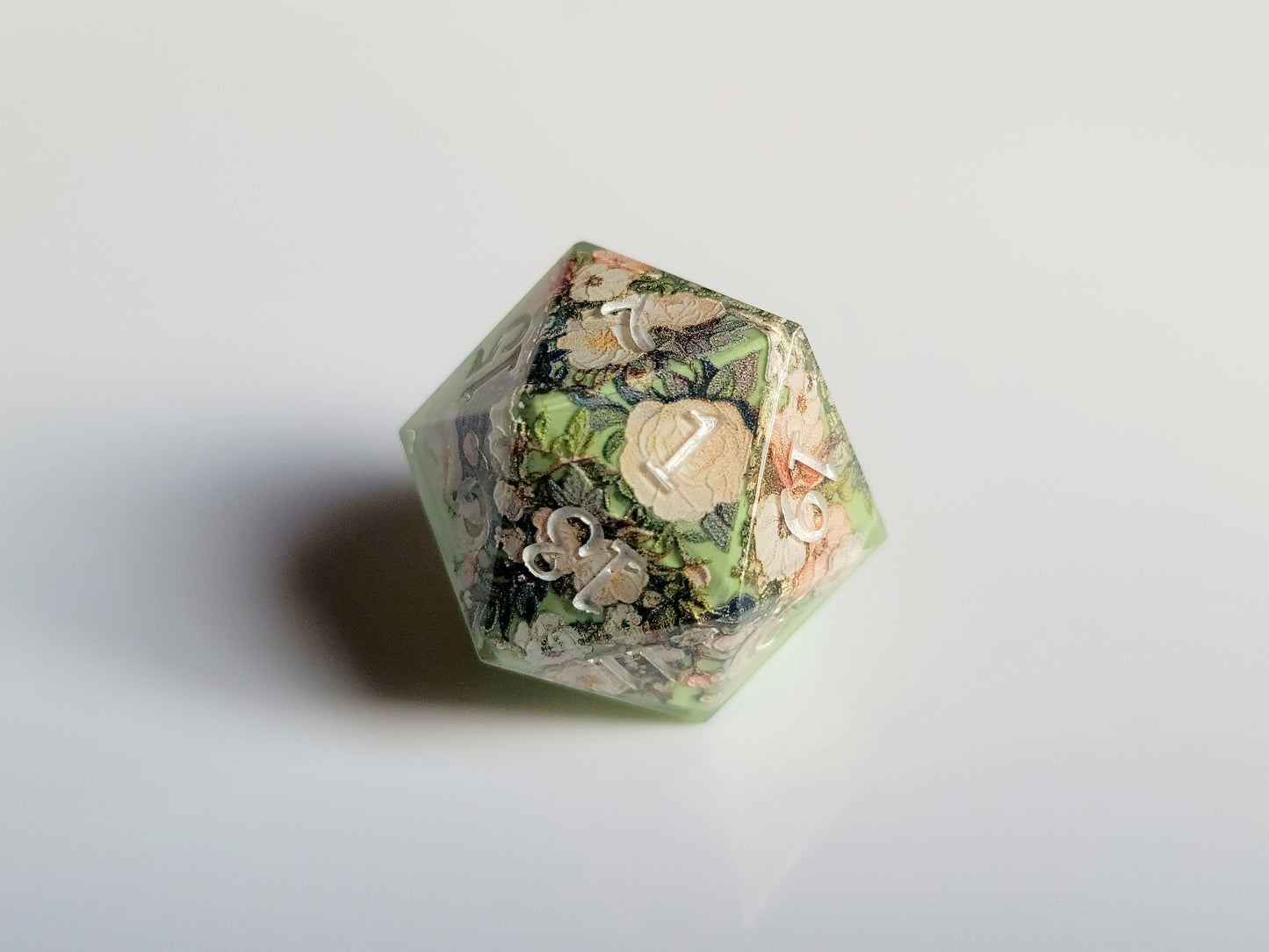 Peonies ( D20 )