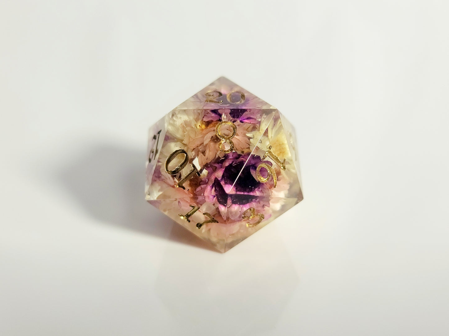 Dreams of Spring ( D20 )